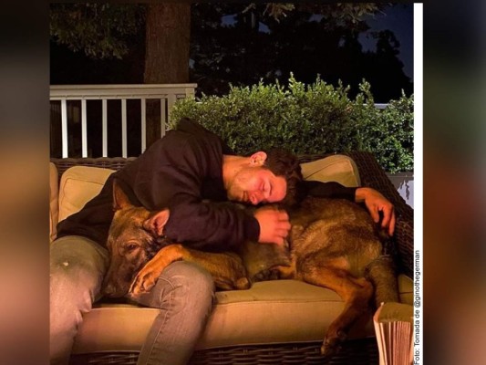 Mascotas en cuarentena