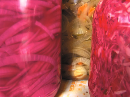 La Carretera del Norte