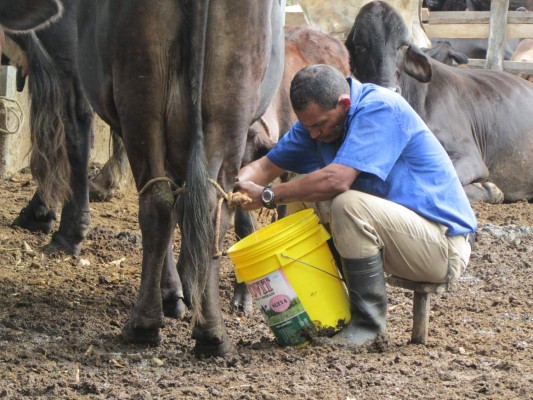 Industria y lecheros cerca de lograr acuerdo