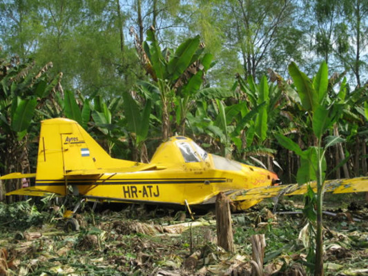 Se accidenta avioneta fumigadora de la Standard