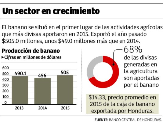 Mal de Panamá amenaza a las fincas bananeras de Honduras