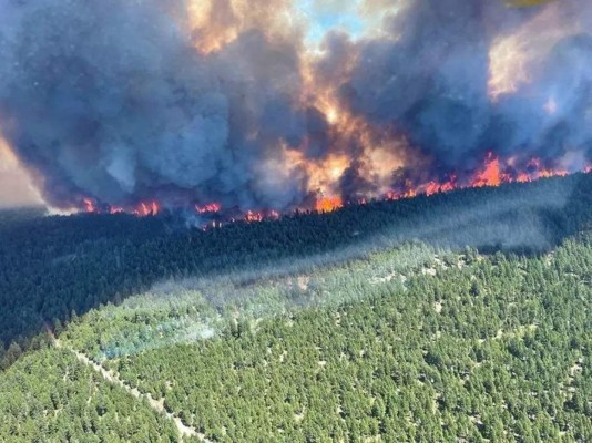 Cientos de muertos y decenas de incendios por ola de calor en Canadá y EEUU
