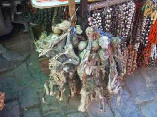 El adulto mayor que está activo mejora su fuerza muscular y evita caídas