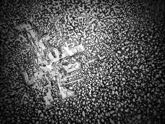 Ver lágrimas con un microscopio revela increíbles hechos