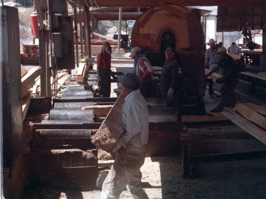 Exportaciones de madera llegan a $14 millones