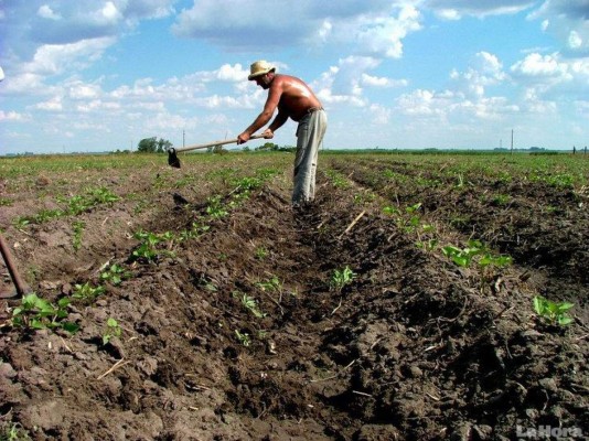 Subsidio agrícola, tema de Brasil en cumbre del G20