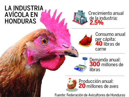 Crecimiento del sector avícola de Honduras será del 3%