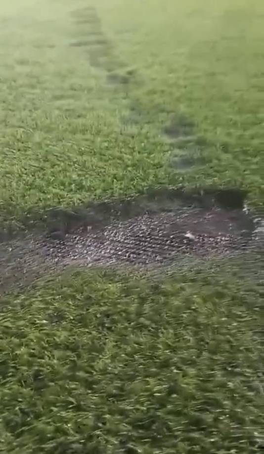 Algunos de estos no son tan profundos, mientras que otros han hecho perforaciones por completo.