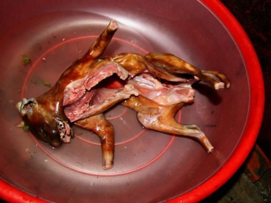 Restaurante es popular por la venta de gatos fritos