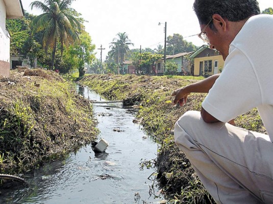 No hay insumos para combatir el dengue