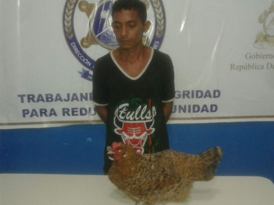 In fraganti capturan al terror de las gallinas en Choluteca