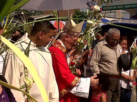 Cruz y palma, fe y devoción