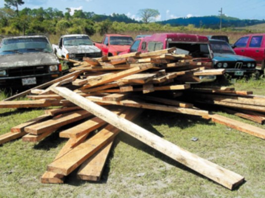 Imparable la tala de bosques en Copán