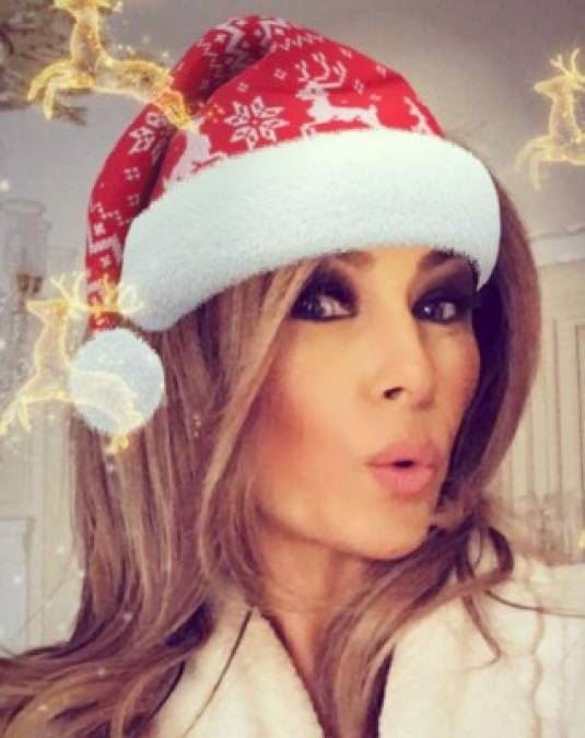 Melania optó por compartir esta selfie navideña para desear unas felices fiestas a los estadounidenses.