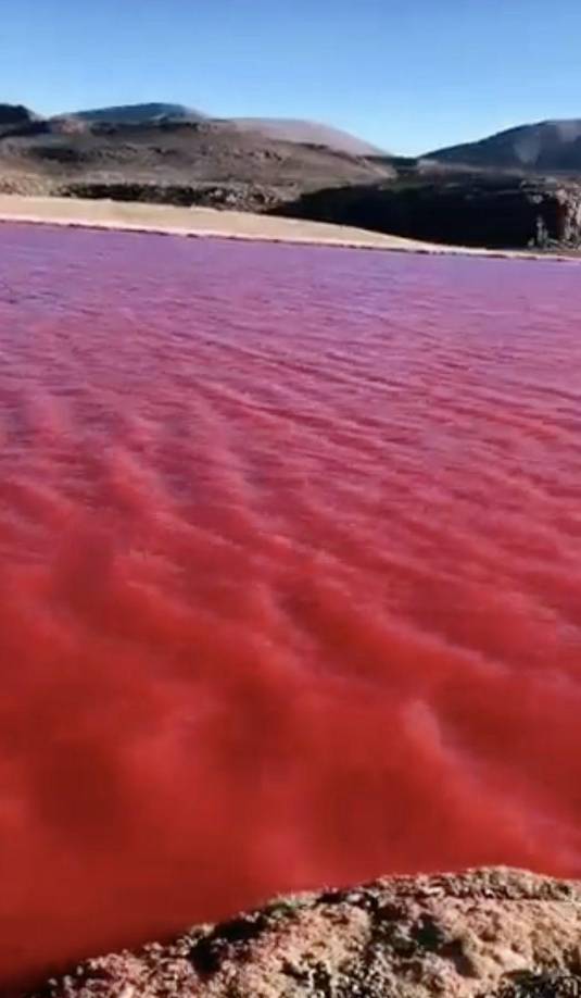 En redes sociales se ha comenzado a viralizar este fenómeno y a indagar los motivos que llevaron al agua a cambiar su color cristalino. Los primeros pensamientos se basaron en citas bíblicas sobre las plagas que azotaron las adyacencias del río Nilo y convirtieron en sangre todo su caudal.