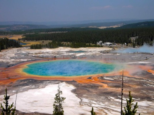 Yellowstone bisontes, osos y géiseres