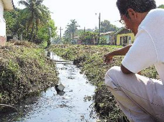 Salud en alerta por aumento del transmisor del dengue