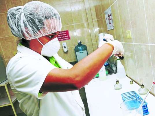 Exportadores hondureños de okra americana presionan el acelerador al 50%