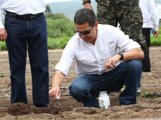 Juan Orlando valida sistema de riego por lluvia sólida