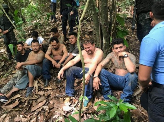 Mediante la operación Hormiga VI, 11 pandilleros, la mayoría cabecillas de la MS-13, fueron capturados en la montaña de El Merendón.