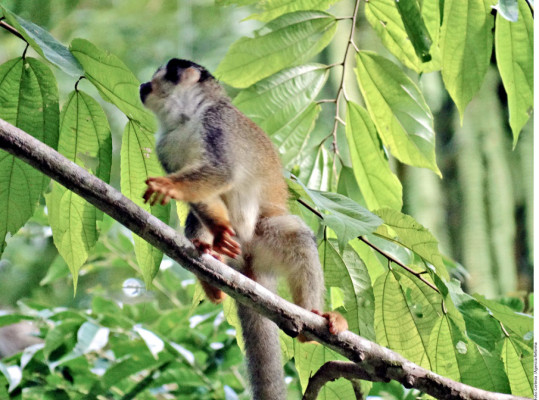 Costa Rica, entre los países más felices del mundo