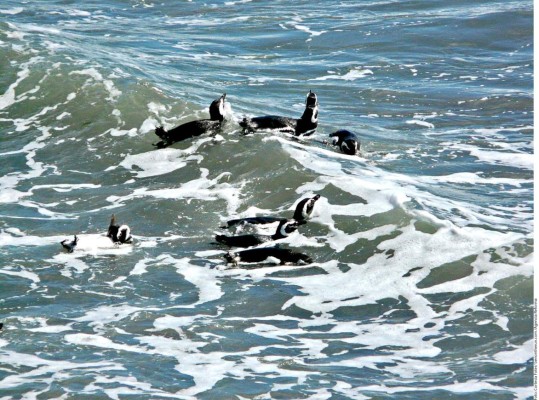 Cinco motivos para ir a Argentina