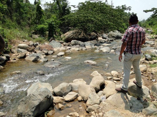 Cultivo de palma afecta la montaña de El Progreso