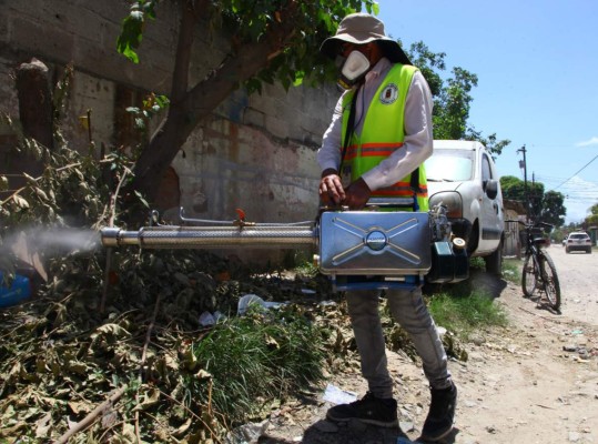 Habilitarán dos salas para pacientes con dengue en San Pedro Sula