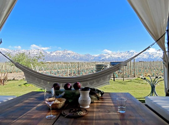 La ruta del vino en el Valle de Uco, Argentina