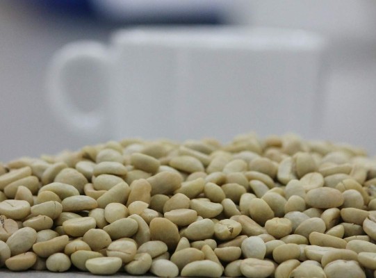 Honduras espera llegar a cuarto productor mundial de café