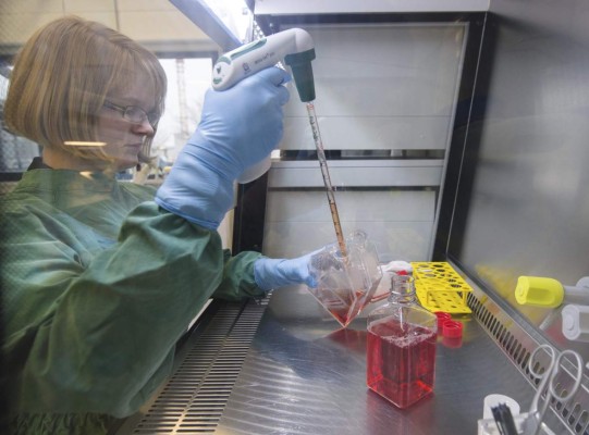 Investigan si el zika puede transmitirse a través de un beso