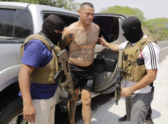 Mara Salvatrucha buscó alianzas con carteles de México y Guatemala