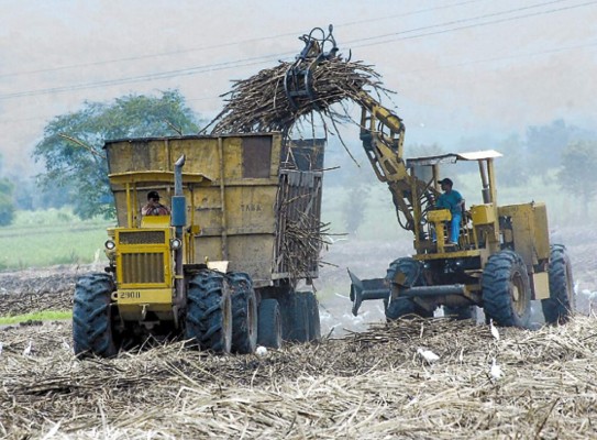 Con bagazo de caña