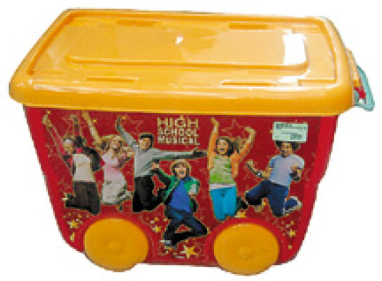 La fiebre de'High school musical”