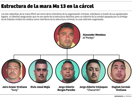 Corte de Apelaciones confirma prisión para los cabecillas de la MS 13