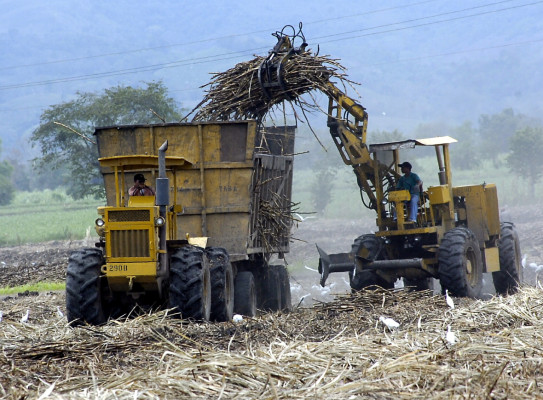 Azucareros buscan nuevos mercados para 2014