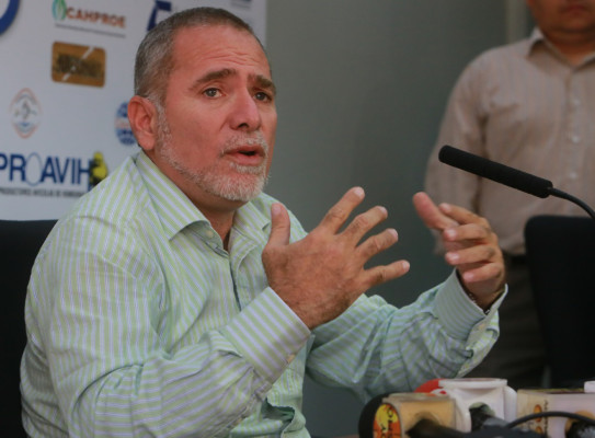 Liberales critican 'preferencia' del TSE para Libre