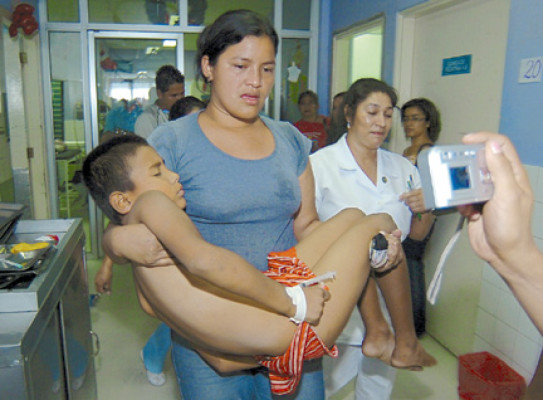 Nueve niños se intoxican al comer semillas de piñón