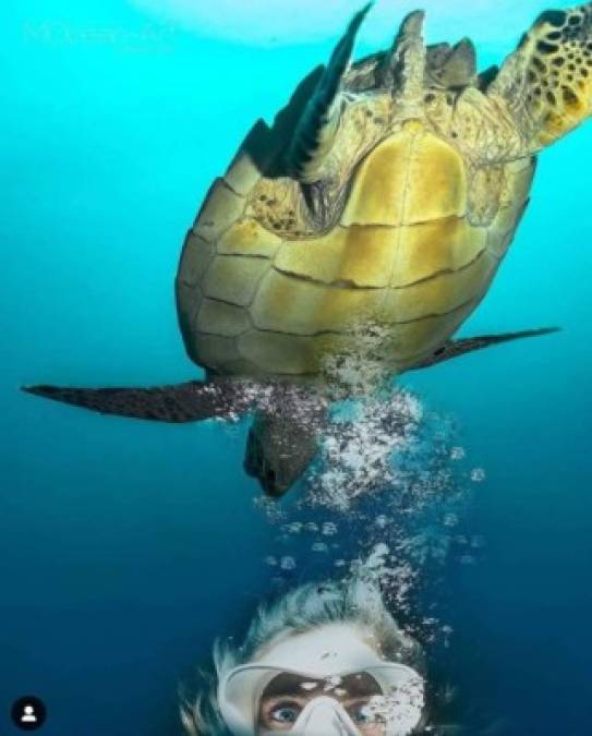 Durante, aproximadamente, 12 años Tarée se ha destacado las hermosas playas de Honduras logrando que personas de diferentes partes mundo se queden maravillados.<br/>