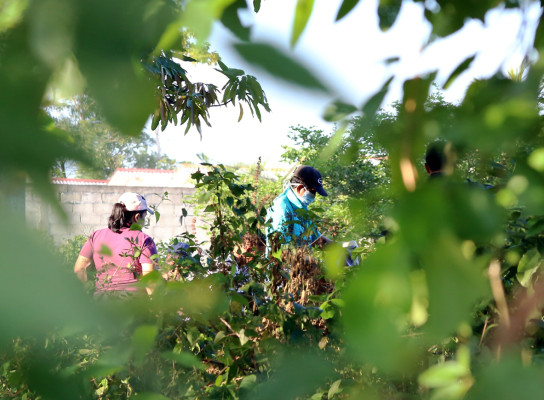 Honduras: Raptan y decapitan a un policía de tránsito