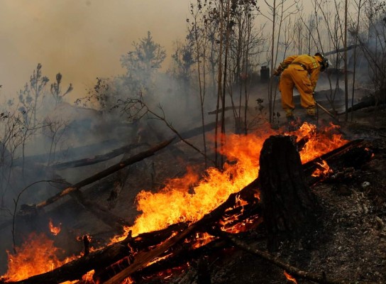 Diez incendios activos arrasan con los bosques en Honduras