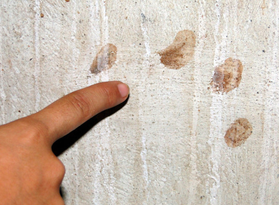 Padre de menor asesinado: 'Este dolor nos esta matando, se fue la alegría”