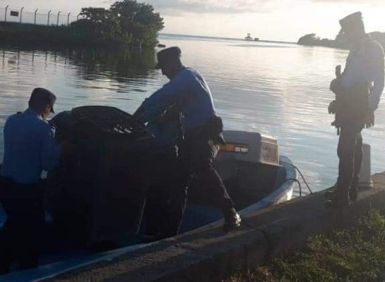 Decomisan varios animales exóticos a hotel de las Islas de la Bahía