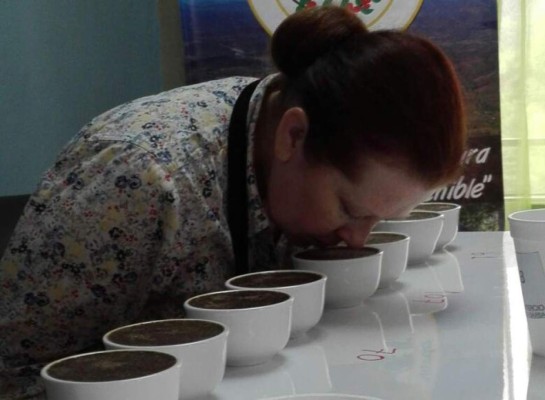 Concurso Oro Santa Bárbara encontrará el mejor café de su región