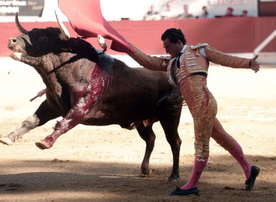El español realiza un pase con un toro Baltasar. AFP