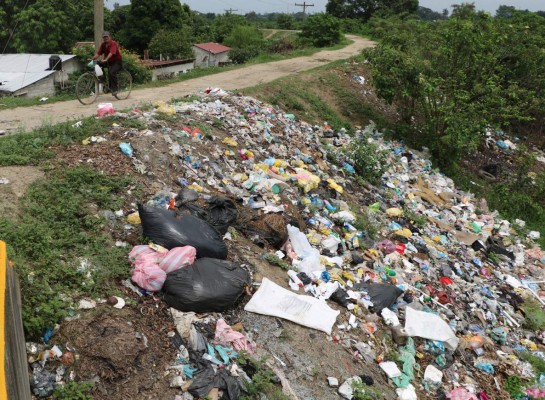 Multas para los que tiren basura en áreas verdes de La Lima