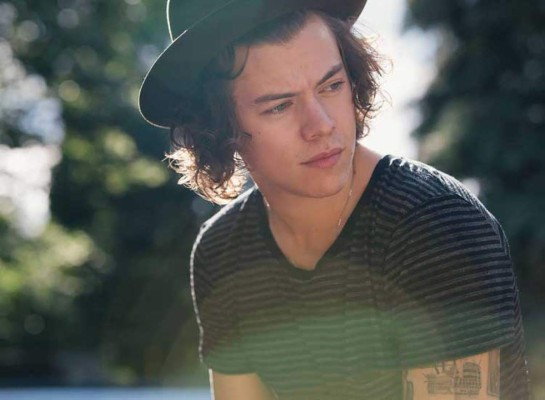 Harry Styles debutará en el cine