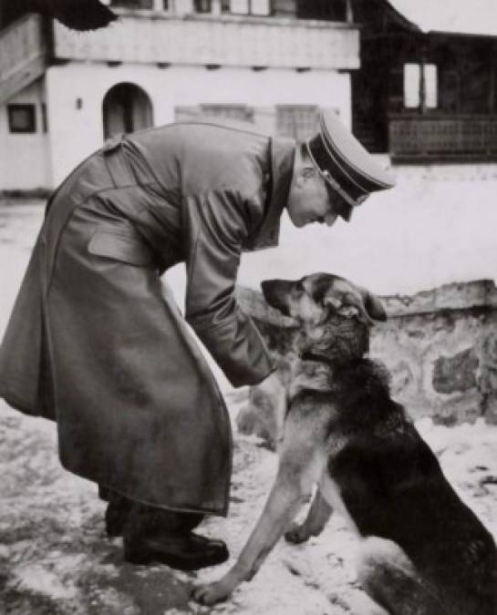 Un día antes de suicidarse junto a Eva Braun, y tras la ejecución de Benito Mussolini, Hitler pidió que mataran a Blondi, su pastor alemán. Foto:Pinterest.