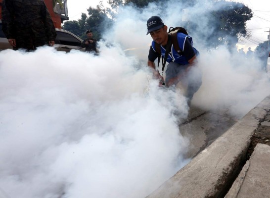 Operativos contra el zika continuarán en Tegucigalpa