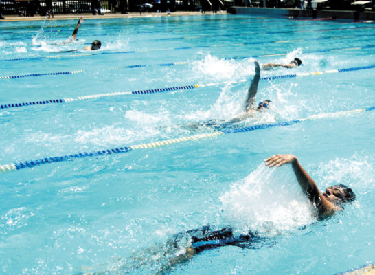 Novatos mostraron sus talentos